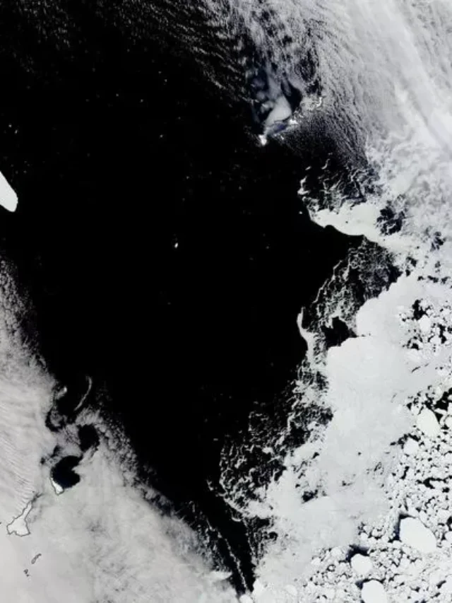 Iceberg Alert: World’s Largest Iceberg Unleashes Decades of Dormancy – What Happens Next Will Shock You!