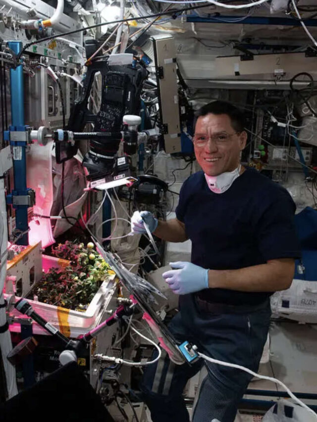 Lost and Found: Astronaut’s Historic Space Tomato Rediscovered in ISS Mystery